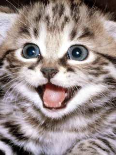 Other Wallpapers 0524